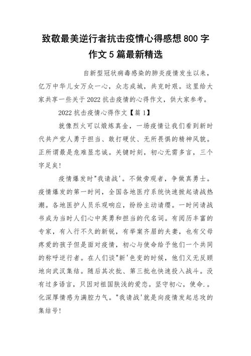 【支援疫情，支援疫情个人工作事迹】-第2张图片