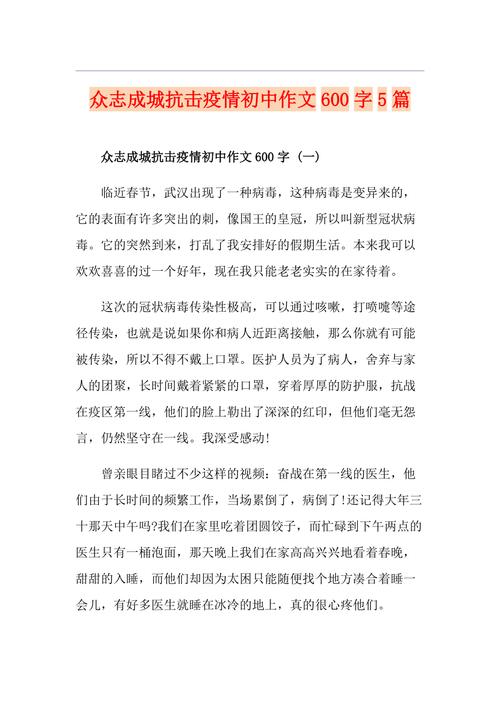 【支援疫情，支援疫情个人工作事迹】-第3张图片