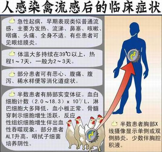 【禽流感疫情，2019年H5N1禽流感疫情】-第2张图片