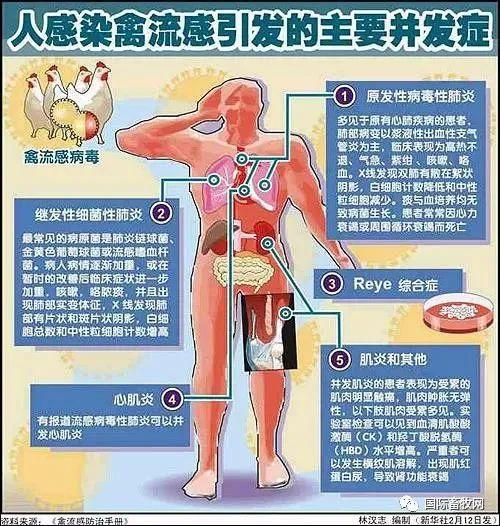 【禽流感疫情，2019年H5N1禽流感疫情】-第3张图片