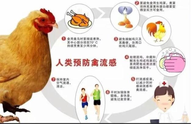 【禽流感疫情，2019年H5N1禽流感疫情】-第6张图片