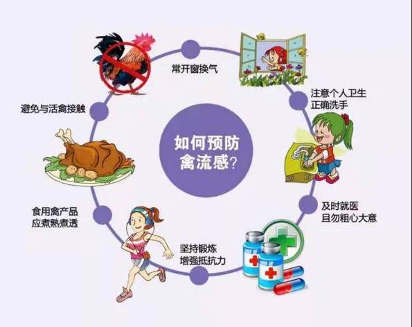 【禽流感疫情，2019年H5N1禽流感疫情】-第8张图片