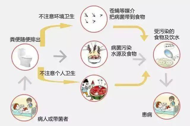 霍乱疫情-霍乱疫情最新消息-第2张图片