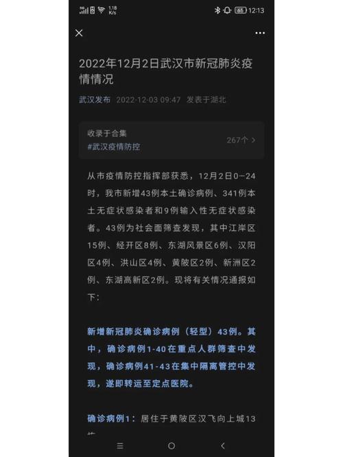 武汉疫情最新消息的简单介绍-第2张图片