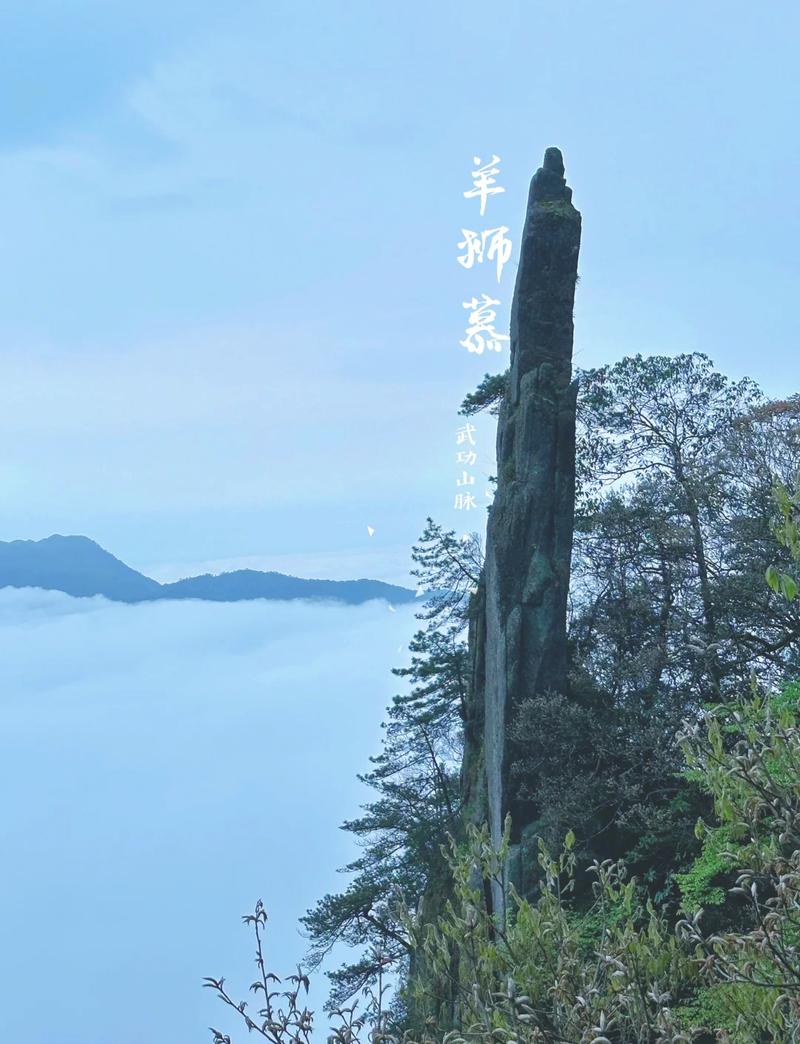 安福县疫情(安福县新冠病毒最新消息)-第8张图片