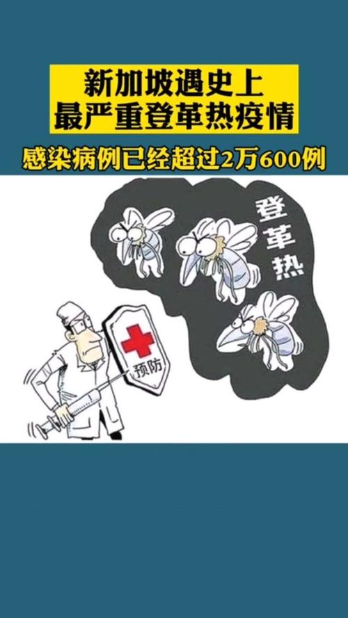 新加坡疫情、新加坡疫情死亡人数-第9张图片