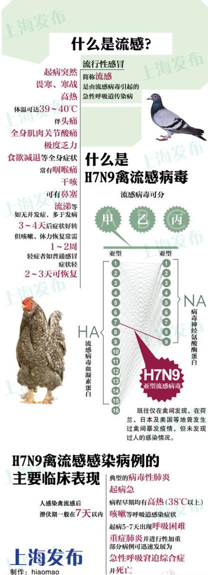 2017全国禽流感疫情、2017全国禽流感疫情最新消息-第3张图片