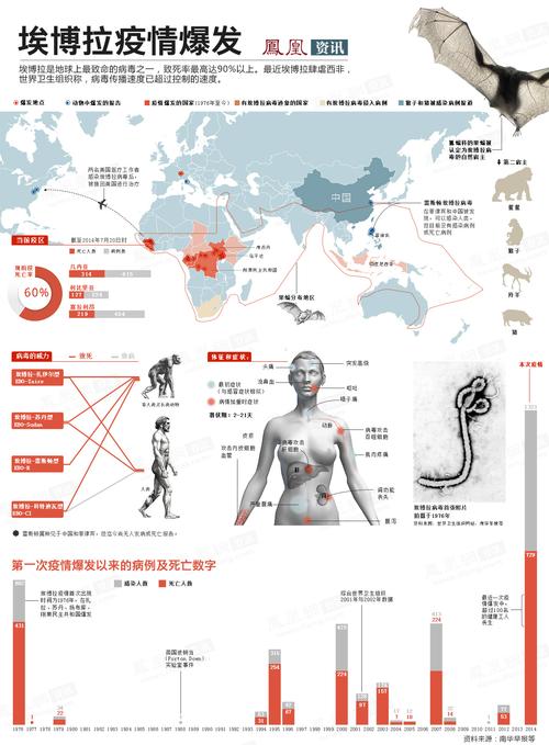 2014埃博拉疫情(2014埃博拉疫情影响)-第7张图片
