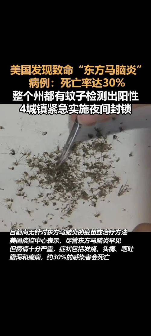 安格拉的疫情(安格拉是哪个国家的?)-第3张图片