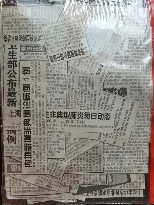 【2003年疫情时间，2003疫情什么时候结束】-第2张图片