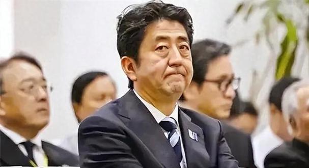 安倍政府疫情-日本安倍政府-第8张图片