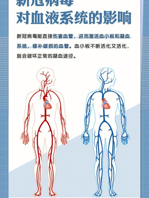 疫情影响-浙江出口企业疫情影响