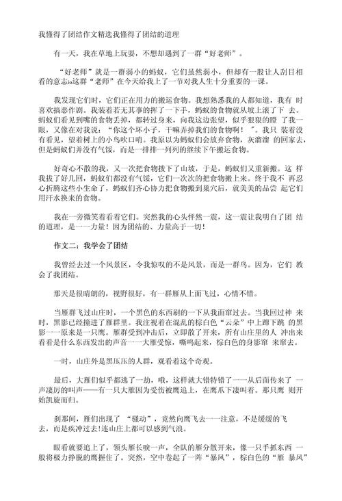 疫情中的团结(疫情中的团结不顾自己作文)-第2张图片