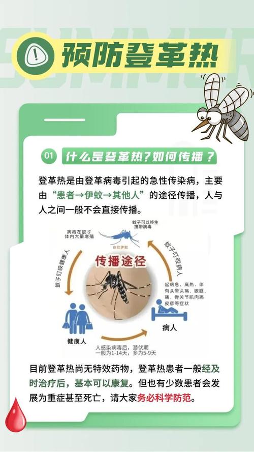 登革热疫情-登革热病是什么症状-第5张图片