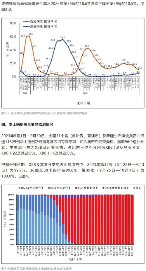 2023年才是疫情爆发的简单介绍-第5张图片