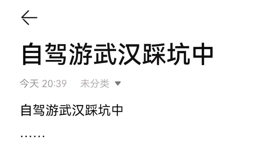 【武汉知音桥限号吗，武汉知音桥限行规定2020】-第8张图片