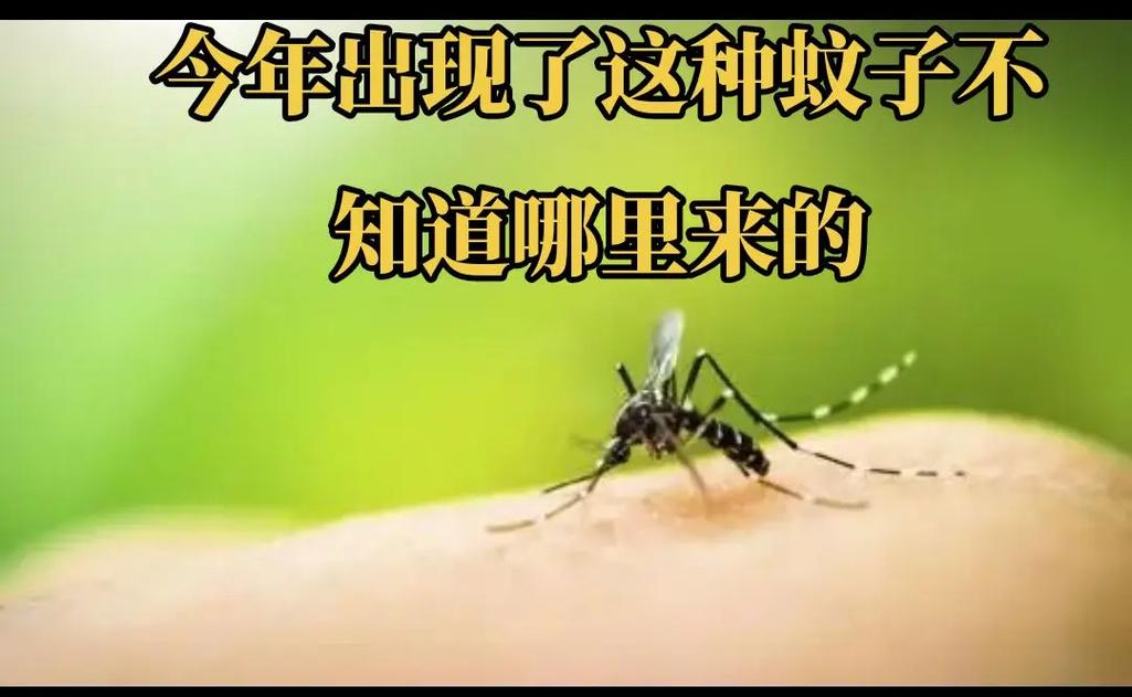 安格拉疫情-安格拉最新疫情-第4张图片