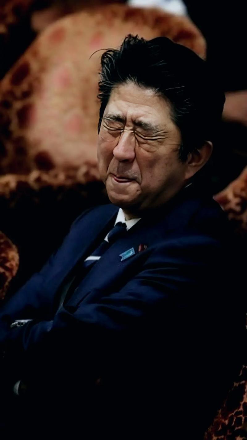 【安倍谈疫情，安倍首次道歉】-第7张图片