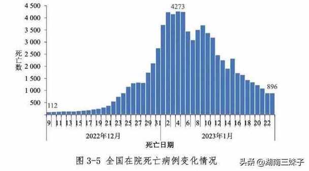 2013非洲疫情(非洲疫情病例)-第3张图片