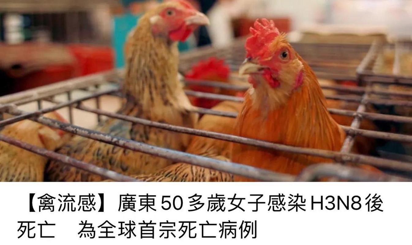 枞阳最近疫情-枞阳疫情最新消息名单-第5张图片