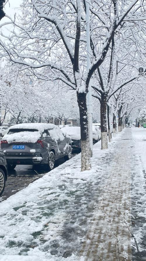 【降雪高速限行，下雪高速封路查询】-第3张图片