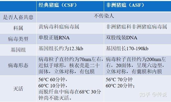 泉州猪肉疫情(泉州市场猪肉费用是多少)-第6张图片