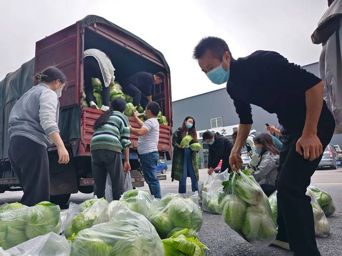 疫情期间各种视频、疫情期间短视频内容-第2张图片